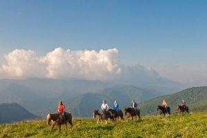 Horseback riders at the Cataloochee Ranch in the nc smoky mountains