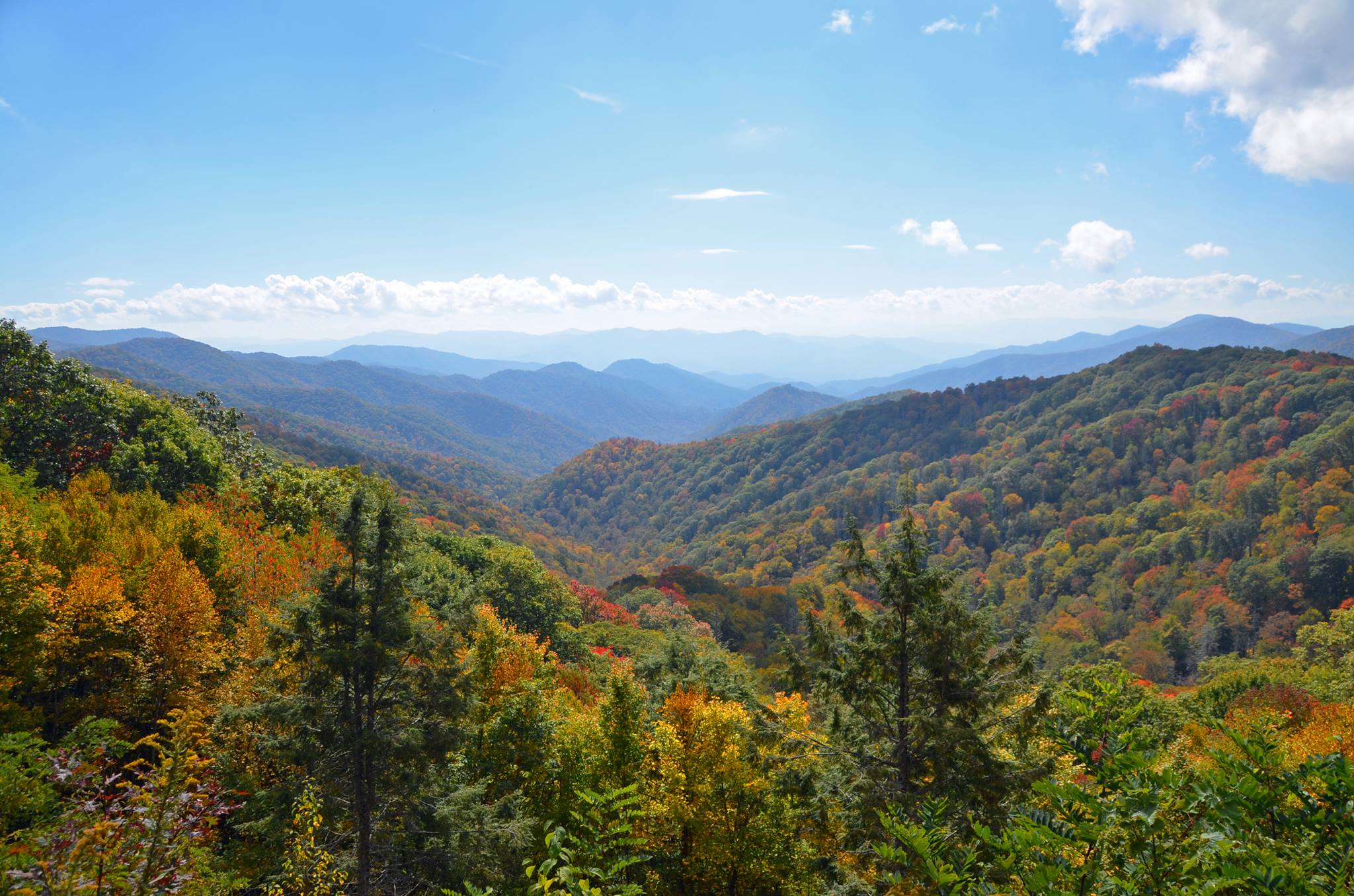 fall color in the great smoky mountains