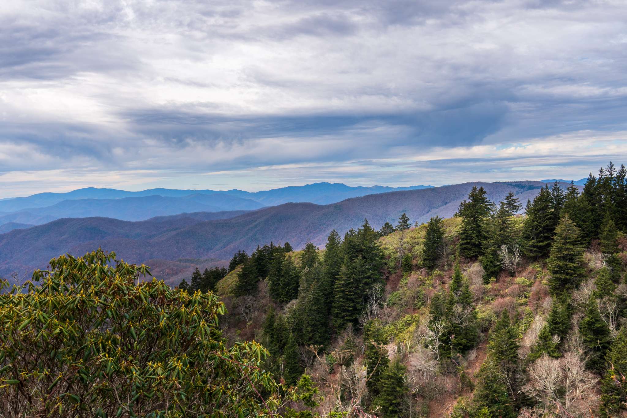 Maggie Valley Exploration Guide Top Things to Do Visit Smokies