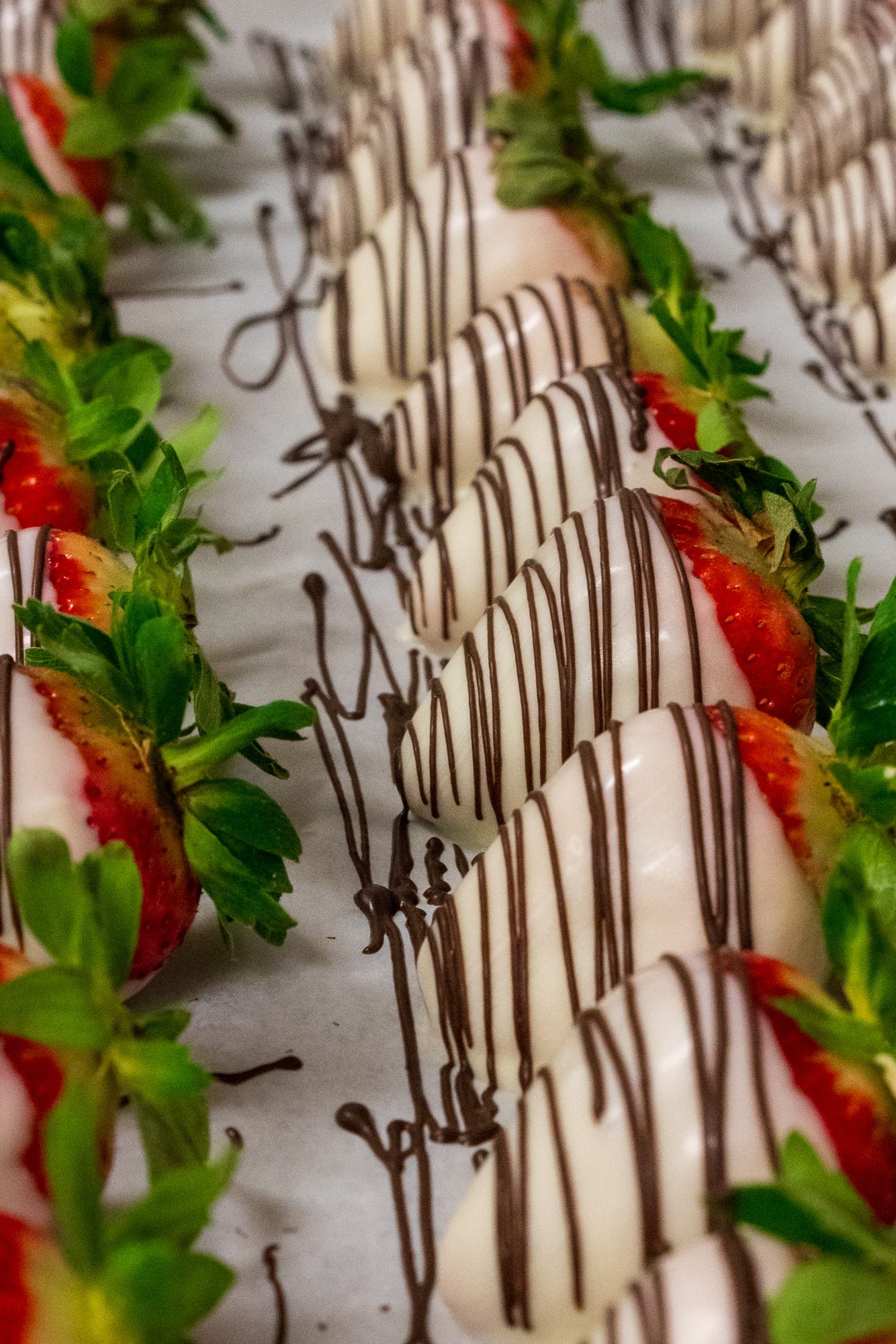 Heavenly Fudge strawberry medium Smoky Mountains in NC