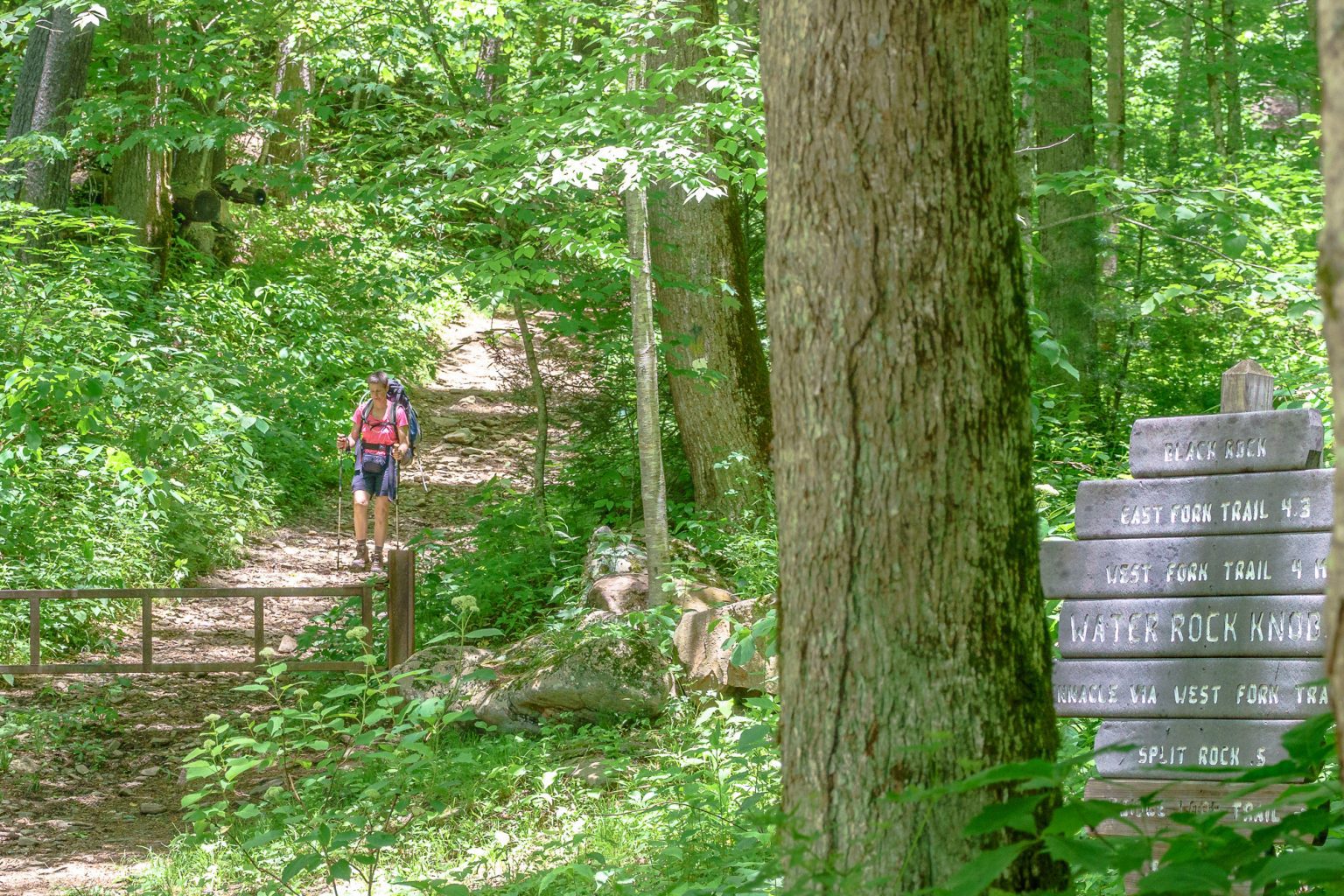 Dillsboro Exploration Guide Top Things To Do Visit Smokies