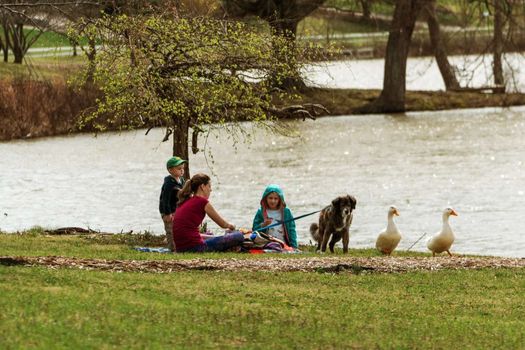 family looking at ducks at Lake Junaluska