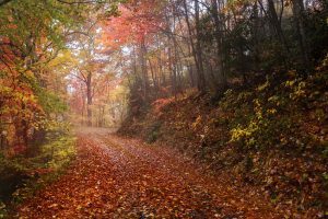 Fall Color in Clay County North Carolina