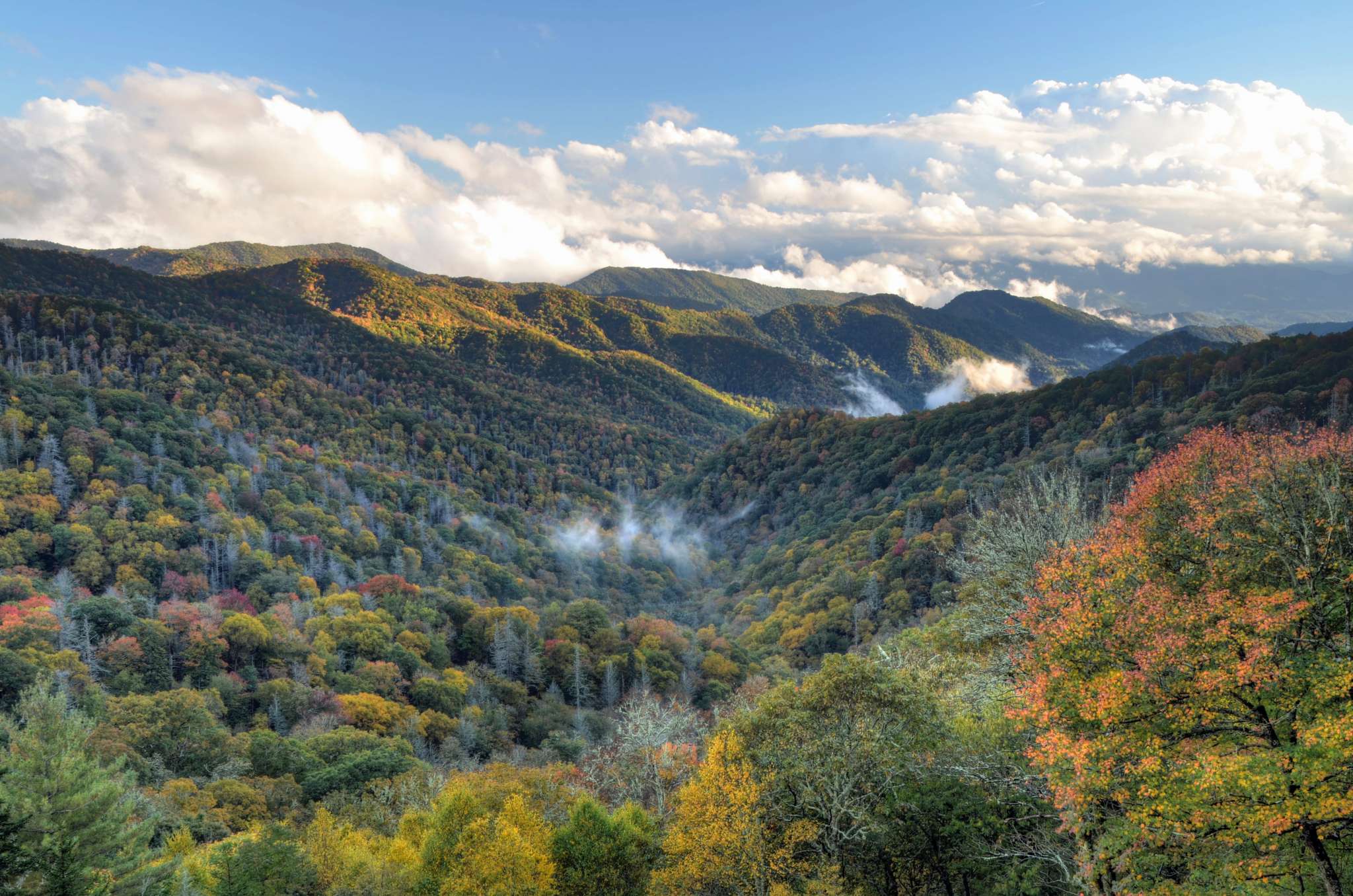 【FAR EASTERN ENTHUSIAST】THE GREAT SMOKY Drive the Smoky Mountain Scenic Byway - Visit Smokies