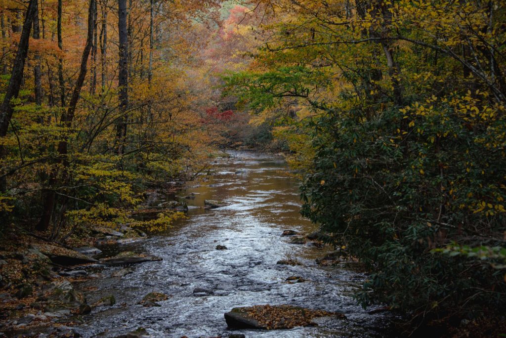 fall color in the smoky mountains of nc