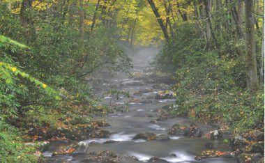 mountain stream in the great smoky mountains of nc