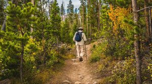 person hiking in the Great Smoky Mountains of NC