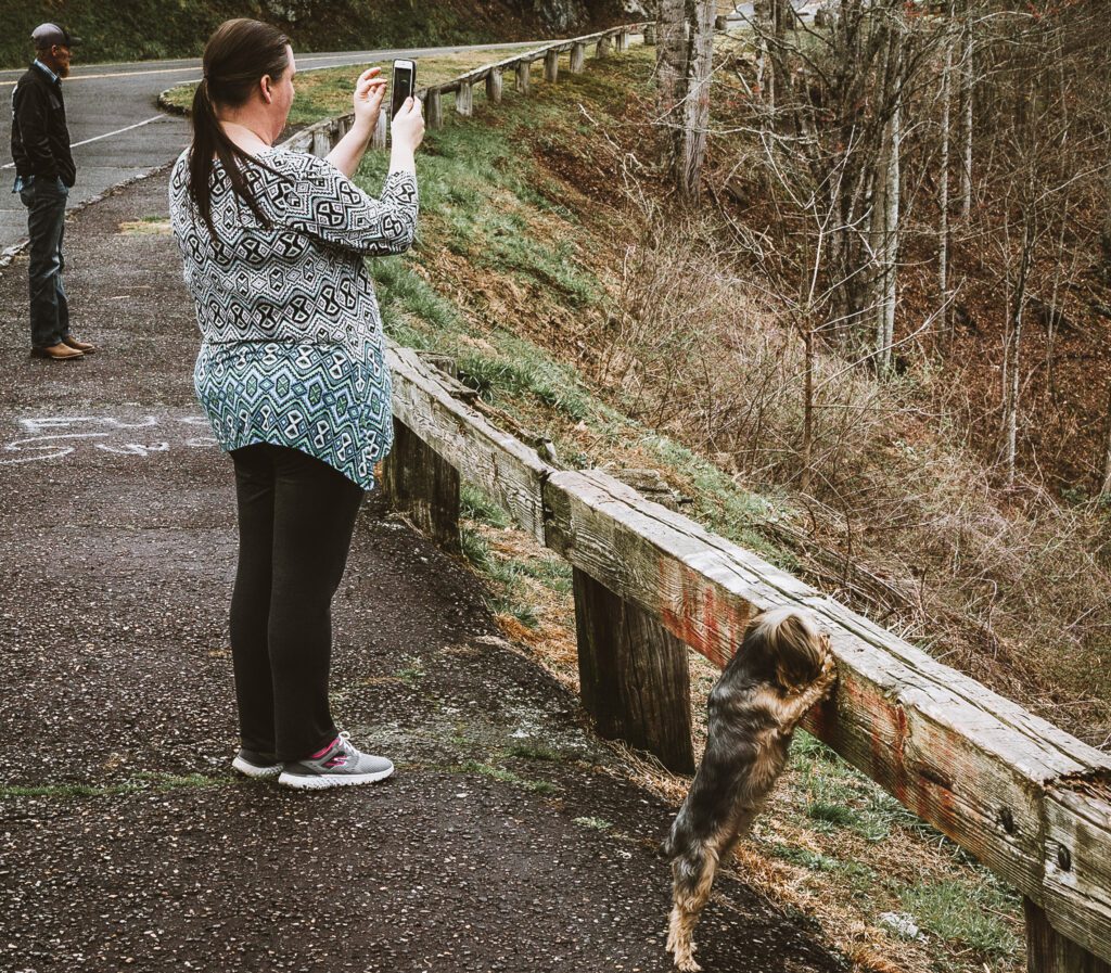 Hiking on the Road to Nowhere in Bryson City.