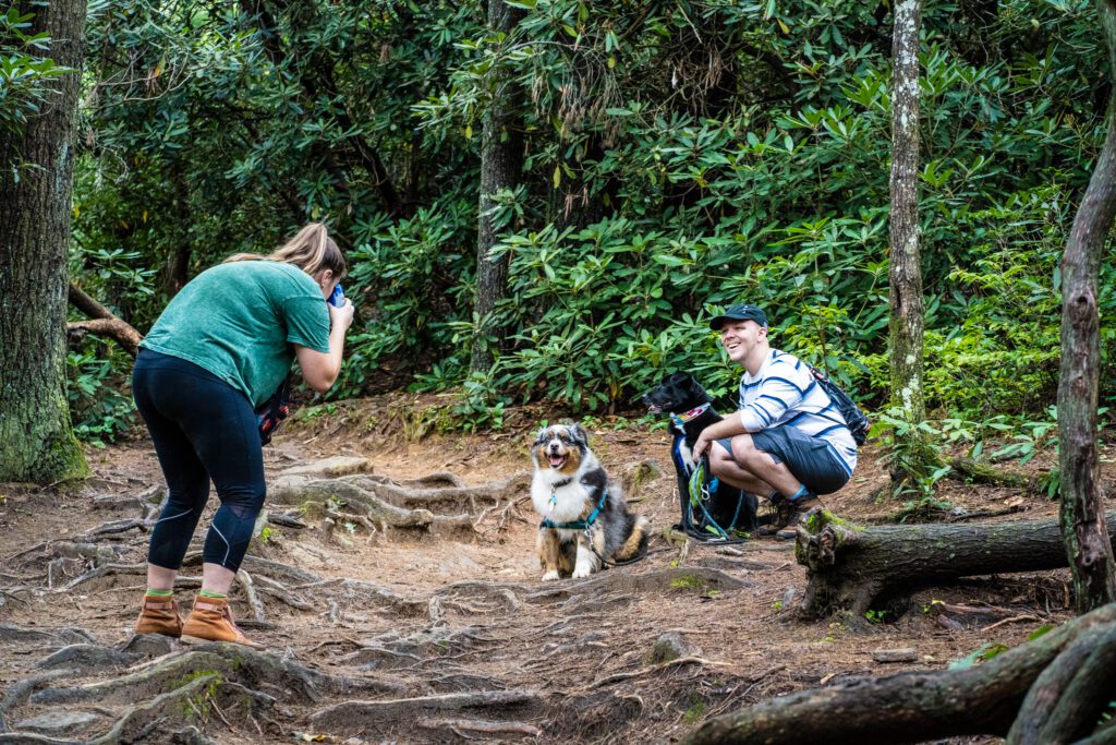 Couple with dogs at Glenn Falls