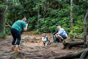 Couple with dogs at Glenn Falls